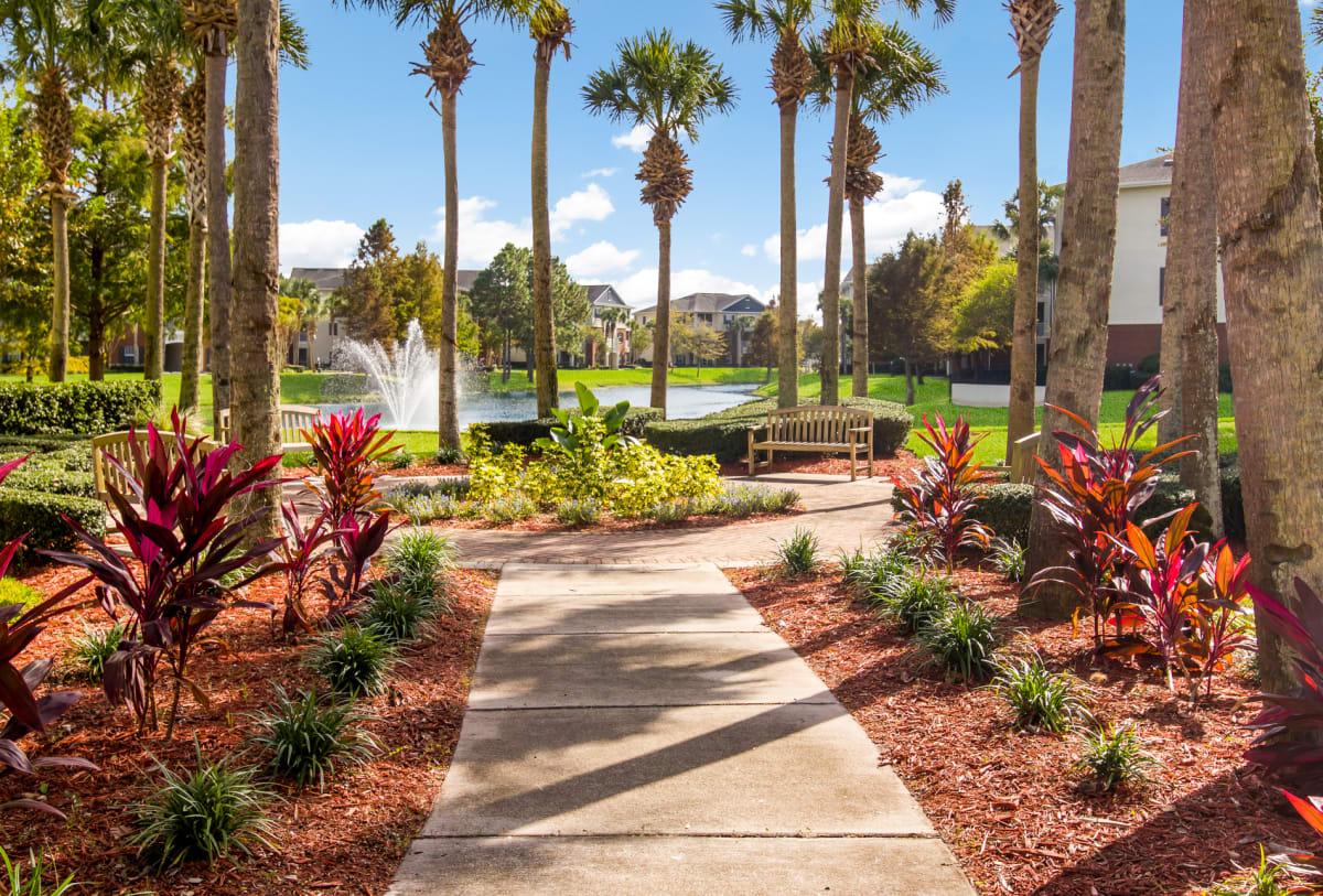 Photos and Video of Wynnfield Lakes in Jacksonville, FL